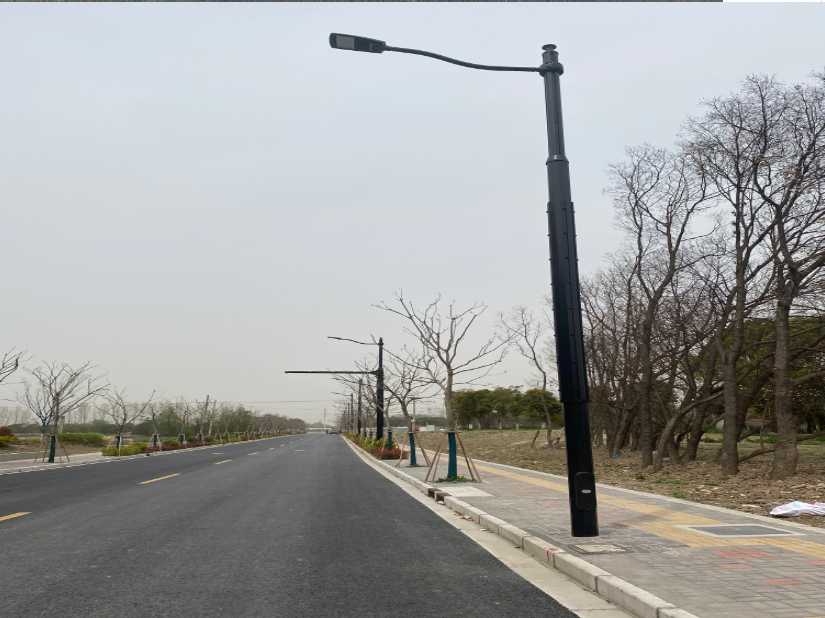 城西区上海综合杆 太阳能路灯工程